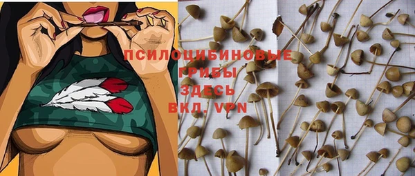 первитин Инсар
