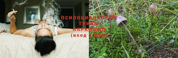 винт Зерноград