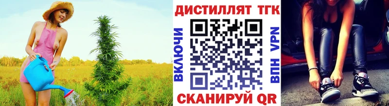 сайты даркнета телеграм  Зерноград  Дистиллят ТГК гашишное масло  купить наркоту 