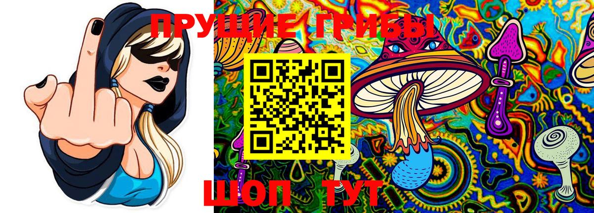 Галлюциногенные грибы Magic Shrooms  Галлюциногенные грибы Psilocybine cubensis  Зерноград  Вход с VPN 